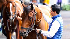 HISA, Next Generation Advisory Group, Penelope Miller, America’s Best Racing