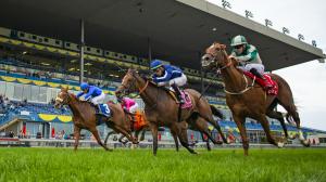 Walk In Marrakesh (far right), second by a nose in the 2019 Natalma at Woodbine, will attempt to win the Ontario Colleen