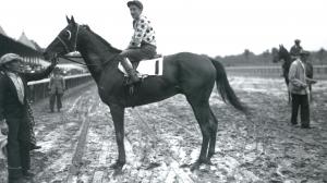 Granville James Stout 1936 Horse of the Year