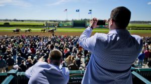Keeneland at a Glance: Exploring the Heart of Horse Country