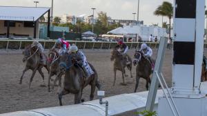 Simplification, Fountain of Youth Stakes, Gulfstream Park, 2024 Kentucky Derby, Eclipse Sportswire