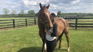 Thoroughbred Makeover Diary: Staying Positive in the Face of Challenges