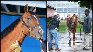 Quirks and Nicknames for Seven Kentucky Derby Hopefuls