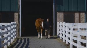 The Man O' War Project utilizes retired racehorses to treat U.S. veterans with PTSD.