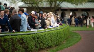 Blue Grass Stakes Keeneland Horse Racing Horse Betting Learn to Bet