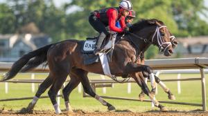 Mindframe, Belmont Stakes, Saratoga Race Course, Eclipse Sportswire