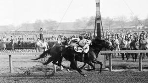Eventual Horse of the Year Nashua wins the 1955 Wood Memorial.
