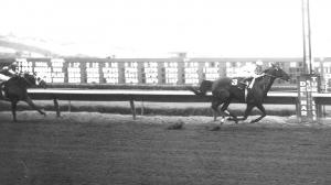 Native Diver, 1967 Del Mar Handicap, Del Mar Thoroughbred Club