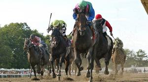 Predicteform Analysis of Whitney