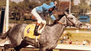 Princess Rooney capped her career with a win in the inaugural Breeders' Cup Distaff.