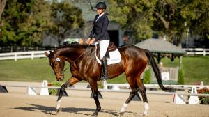 Thoroughbred Makeover Diary: Learning What True Success Is
