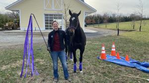 Thoroughbred Makeover Diary: Police Work Progress