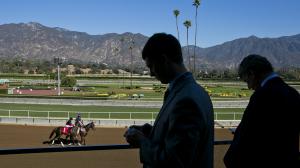 Santa Anita Park at a Glance: What You Need to Know