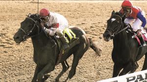 Sarava, 2002 Belmont Stakes, trainer Kenny McPeek, War Emblem, NYRA, Coglianese photos