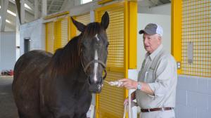 James Sebastian has been working with mares and foals at Claiborne Farm for more than 50 years.