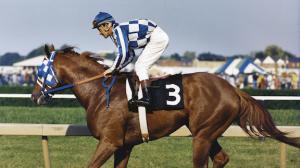 Secretariat and Ron Turcotte after winning the 1973 Preakness stakes.