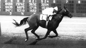 Bill Shoemaker, Blue Ruler, 1954 Del Mar Futurity, Del Mar Thoroughbred Club
