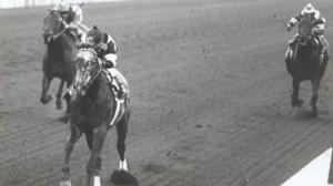 Spectacular Bid,1980 Malibu Stakes, Santa Anita Park