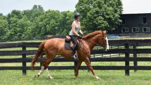 Thoroughbred Makeover Diary: Back in the Saddle with Thalia