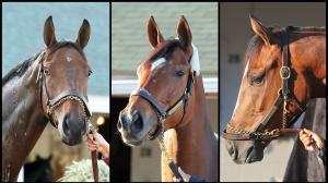 2024 Kentucky Oaks, Churchill Downs, Fantasy Stakes winner Thorpedo Anna, Gazelle Stakes winner Where's My Ring, Ashland Stakes winner Leslie's Rose.