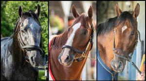 Arcangelo, Mage, National Treasure, Travers, Eclipse Sportswire