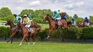 Great Meadow, The Plains, Va., Virginia Gold Cup