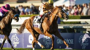 Wise Dan is among the 2020 racing Hall of Fame inductees in his first year of eligibility.