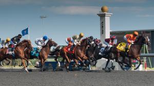 Racing on Woodbine's all-weather surface.