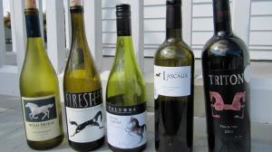 Horse-Themed Wine for Thanksgiving Dinner