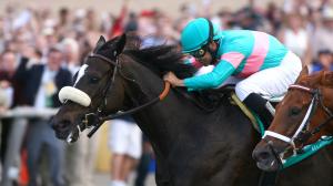Zenyatta wins the 2010 Clement L. Hirsch at Del Mar.