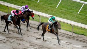 Haskell Stakes Exaggerator Eclipse Sportswire