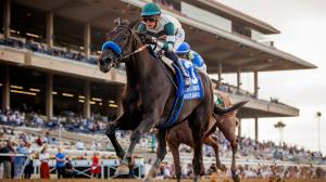 Adare Manor Clement L. Hirsch Del Mar Win and You’re In Longines Distaff Michael Lund Petersen Bob Baffert Juan Hernandez Challenge Series filly Santa Maria Santa Margarita pedigree horse racing