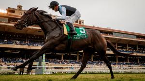 Anisette Del Mar Oaks Breeders’ Cup Eclipse Thoroughbred Leonard Powell Umberto Rispoli horse racing San Clemente filly 