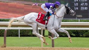 Whitney Stakes Saratoga Breeders’ Cup Classic gambling handicapping Arthur’s Ride National Treasure Bright Future Charge It Crupi Disarm Il Miracolo Tumbarumba First Mission Skippylongstocking Warrior Johny Post Time Bill Mott Todd Pletcher Bob Baffert