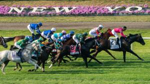 Belmont Park claiming horse racing betting handicapping horseplayer Quick Power Nap Smokin’ Hot Kitty Landbiscuit Healing turf 