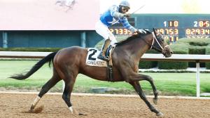 Catching Freedom Rallies to Win Smarty Jones Stakes