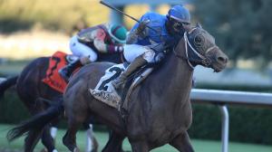 Torres Florent Geroux Brad Cox Constitution horse racing Thoroughbred colt pedigree