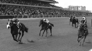 Legends 1970s horse racing Chris Evert Susan’s Girl Wajima DiMauro Bold Ruler Yoshida tennis Echo Valley Farm Joe Travato Quaze Eclipse Award Fred Hooper