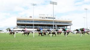 Colonial Downs Edward P. Evans Stakes turf horse racing Virginia gambling handicapping Gigante Steve Asmussen Alex Joon E. P. Milton Reconvene Virginia-bred 