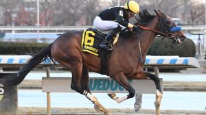 Cyclone State Jerome Stakes Aqueduct jockey trainer owner Gold Square George Messina Michael Lee Luis Rivera Chad Summers prep Kentucky Derby Saudi Derby Gotham horse racing speed figure pedigree McKinzie