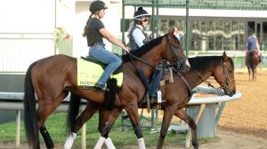 One Year Later, Dornoch Has Chance to Join Sibling Mage as a Kentucky Derby Winner