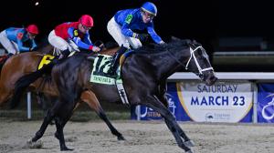 Encino John Battaglia Memorial Stakes Turfway Park Kentucky Derby Axel Concepcion Brad Cox Godolphin all-weather racehorse Thoroughbred horse racing Nyquist sire breeding jockey trainer