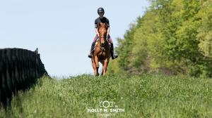 Inspirational Reunion for Retired Racehorse Inked and Kirsten Fada