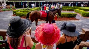 TV radio Louisiana Derby Jeff Ruby Steaks Turfway Park Fair Grounds horse racing television CNBC Peacock streaming NBC Sports FanDuel TV RTN America’s Day at the Races Fox Sports FS2 FS1 Byk HRRN Gulfstream Park Santa Anita Oaklawn Aqueduct