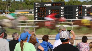 Radio TV television guide horse racing Tampa Bay Derby Tampa Bay Downs Gulfstream Park Turfway Park Aqueduct Oaklawn Park Santa Anita Park RTN FanDuel TV Fox Sports FS2 America’s Day at the Races NYRA HRRN Byk
