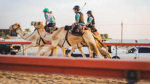 Chasing a Dream in the Desert: ABR’s Isabella Leslie Trains to Become a (Camel) Jockey