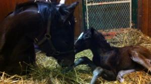 It All Started in 2014