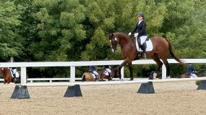 Mary Termer, Decorated Invader, Finn,  Retired Racehorse Project Thoroughbred Makeover