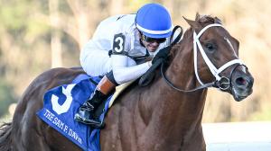 John Hancock, Tampa Bay Downs, Sam F. Davis Stakes, Kentucky Derby, Brad Cox, Flavien Prat, WinStar, CHC, horse racing, pedigree, speed figure, breeding, Tapit, jockey, trainer