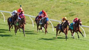 Elkhorn Stakes Keeneland turf Channel Maker Value Engineering Rising Empire Another Mystery Red Knight Mike Maker Shawdyshawdyshawdy Howe Street Highest Honors Verstappen Tiz the Bomb horse racing gambling